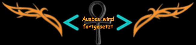 Ausbau wird
fortgesetzt