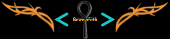 Beweisfoto