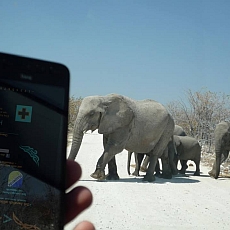 Etosha-Nationalpark 1 (Namibia)