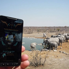 Etosha-Nationalpark 2 (Namibia)