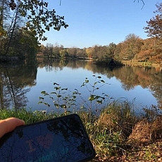 Mhlenteich (Munster, Deutschland)